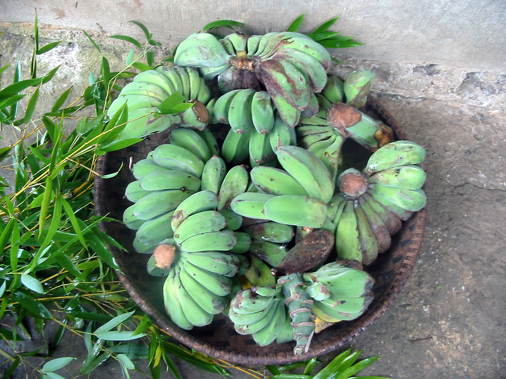 banana 11 banana 11
