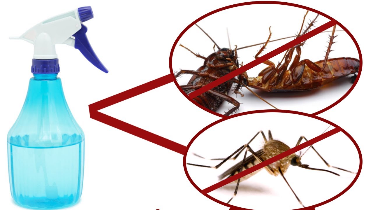 simple insecticide